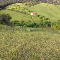 ۶۰۰۰متر خونه باغ دل طبیعت زیبای کلسفروش