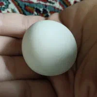 سنگ آسیاب