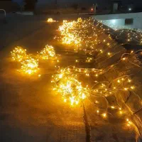 فروش تعدادی ریسه عربی دسته دوم