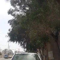 رانندگی