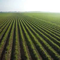 فروش سریع زمین مسکونی