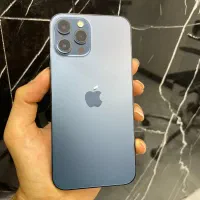 12 pro max