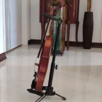 رناتو 120دسته|ویولن|بابل, |دیوار