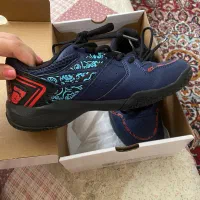 کفش بدمینتون|کیف، کفش، کمربند|تفرش, |دیوار