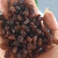 کشمش درجه یک