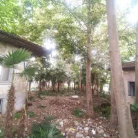 خانه باغ 1700 متری سند تک برگ در مرکز شهر رشت