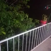 سوئیت آپارتمان باغ