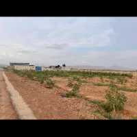 دامداری و باغ پسته|فروش دفتر صنعتی، کشاورزی، تجاری|ایوانکی, |دیوار