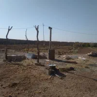 فروش باغ شادمهر|فروش خانه و ویلا|تربتحیدریه, پائین ولایت|دیوار