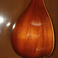 سه تار قدیمی مارک محمدی