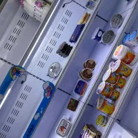 یخچال پرده هوا|فروشگاه و مغازه|شیراز, غدیر جنوبی|دیوار