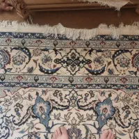 قالی ۶ متری دست بافت|فرش|شاهین‌شهر, شهرک ردانی پور|دیوار