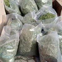 یونجه یک کیلوگرمی خشک و سبز|لوازم جانبی حیوانات|مشهد, حجاب (شهرک غرب)|دیوار