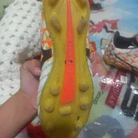 استوک درشت چمن