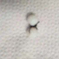 سنگ عتف|بدلیجات|خرمشهر, |دیوار