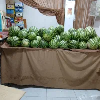 کاروهمکاری یاشراکت