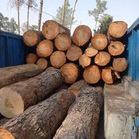 برش چوب هرس درخت