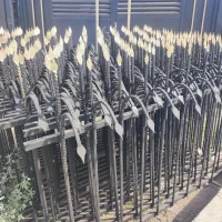 حفاظ آبشاری حفاظ شاخ گوزنی