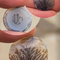 حراج شجر های قائنات با بهترین منظره زیر قیمت|جواهرات|تهران, دریاننو|دیوار