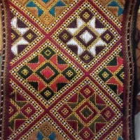 زیاستین چپی دوچ