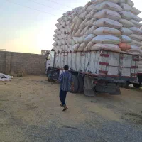 کاه گندم دیم کرمانشاه