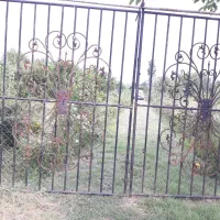 ۲۲۰ متر خونه باغ بین بابل امل احمد چاله پی|فروش زمین و ملک کلنگی|زرگرشهر, |دیوار