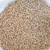 نخود بهاره بیونیج همدان|خوردنی و آشامیدنی|شیراز, دانشگاه شیراز|دیوار