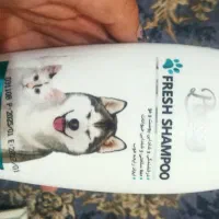 وسایل پت|لوازم جانبی حیوانات|شیراز, محراب|دیوار