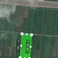 شالیزار-بر-دوم-اتوبان