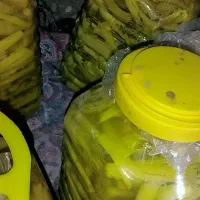 ترشی بیلهر