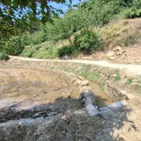 زمین-باغ-مرکبات
