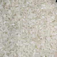 برنج کامفیروزی درجه یک