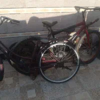 ۳ عدد دوچرخه