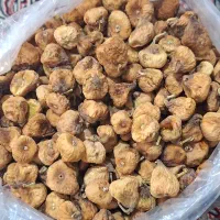 انجیر خشک امسالی
