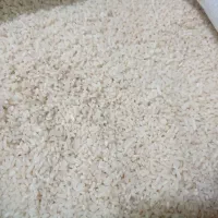 لاشه دم سیاه دودی|خوردنی و آشامیدنی|رشت, دیانتی|دیوار