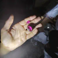 تسبیح و سنگ و جواهر و سکه آنتیک و اصل