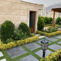 درخت نهال  پایانکار امور باغبانی و نگهداشت|گل و گیاه طبیعی|تهران, آجودانیه|دیوار