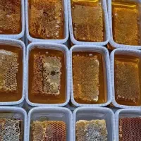 عسل طبیعی وارگانیک|خوردنی و آشامیدنی|شاهین‌شهر, گرگاب|دیوار