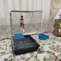 قفس عروس هلندی و طوطی