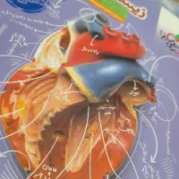 کتاب تست زیست دهم خیلی سبز