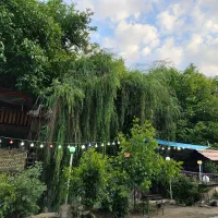 نیروی کار خانوم برای کافه شبانه روزی