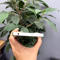 Redmi note 13|موبایل|تهران, جردن|دیوار