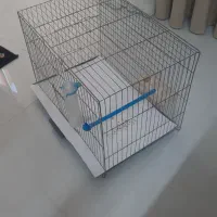 یک عدد قفس پرنده تمیز