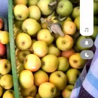 فروش جعبه سبد