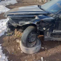 پرشیا تصادفی اوراقی بدون مدارک