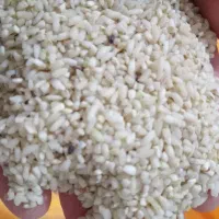 فروش برنج عنبربو ونیم دانه|خوردنی و آشامیدنی|شوشتر, |دیوار