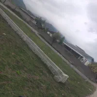 زمین تک برگ سند خطبه سرا