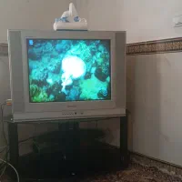 تلویزیون21زیرتلوزیون با کنترل نو|تلویزیون و پروژکتور|سرپل ذهاب, |دیوار