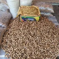 گردو پوست کاغذی همدان به شرط