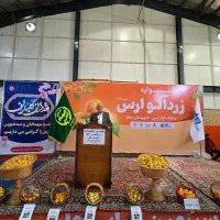 فروش باغ زردآلو در جلفا|فروش زمین و ملک کلنگی|جلفا, |دیوار